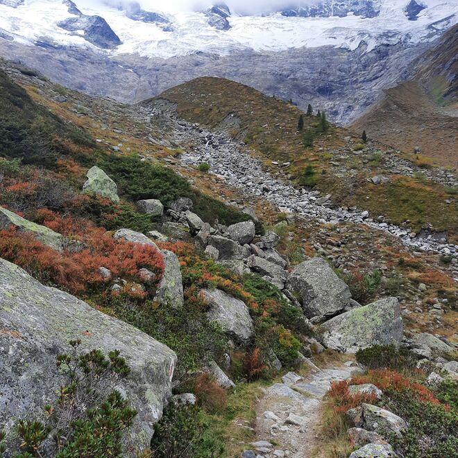 Gletscher