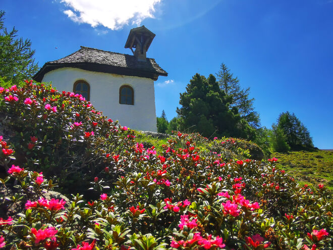 Kapelle im Festtagskleid