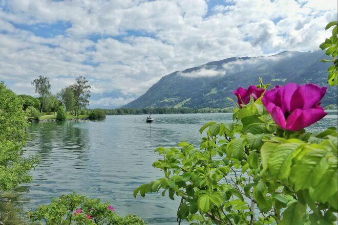 Ausflug an den Zeller See
