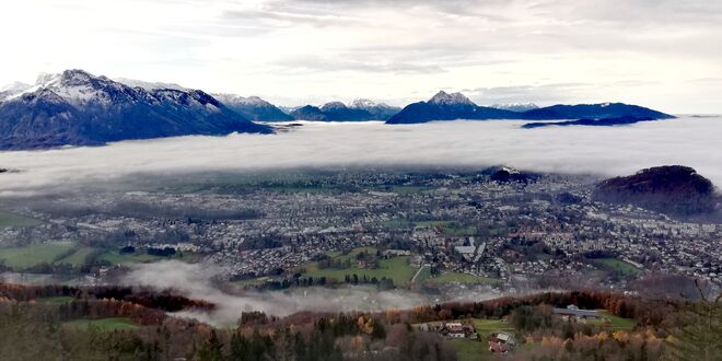 Dem Nebel entfliehen