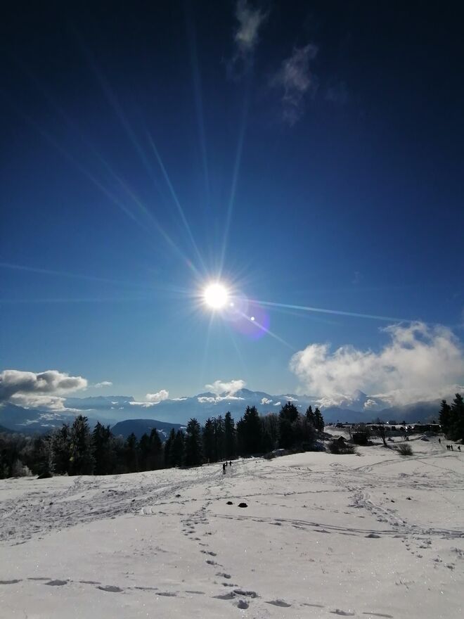 Spuren im Schnee
