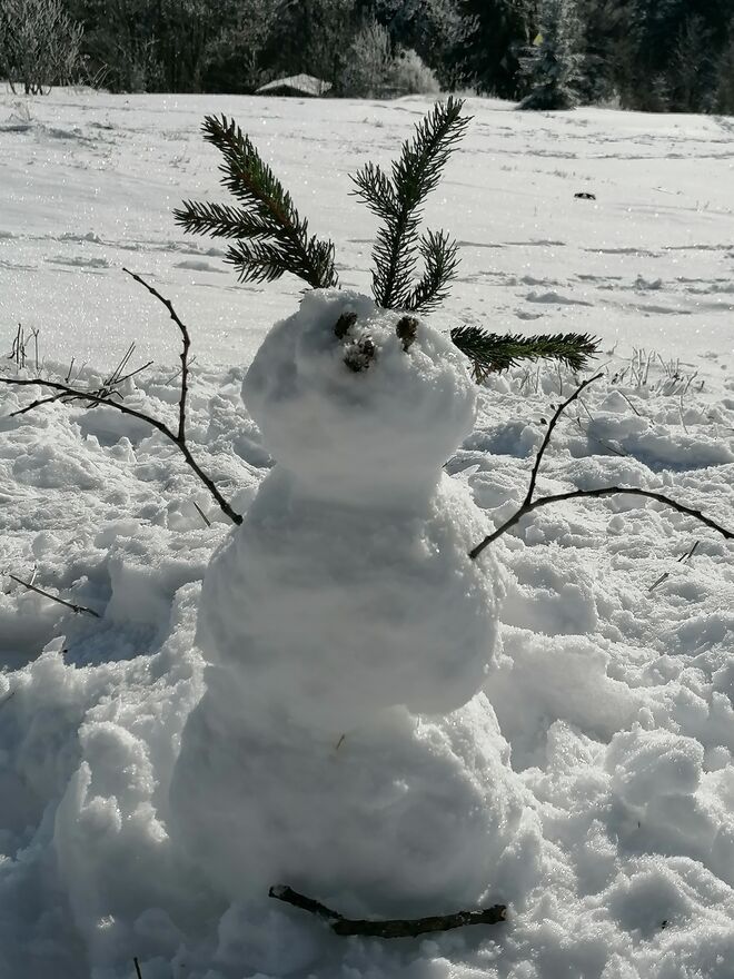 Frosty the Snowman