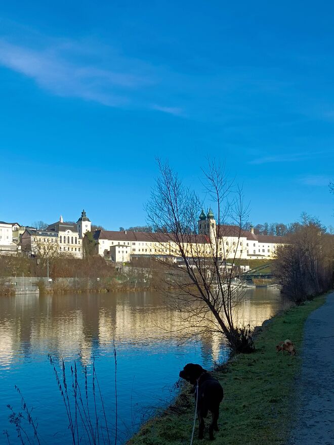 Ein Traum in blau.