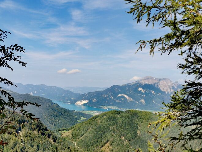 Blick auf den Wolfgangsee und Schafberg