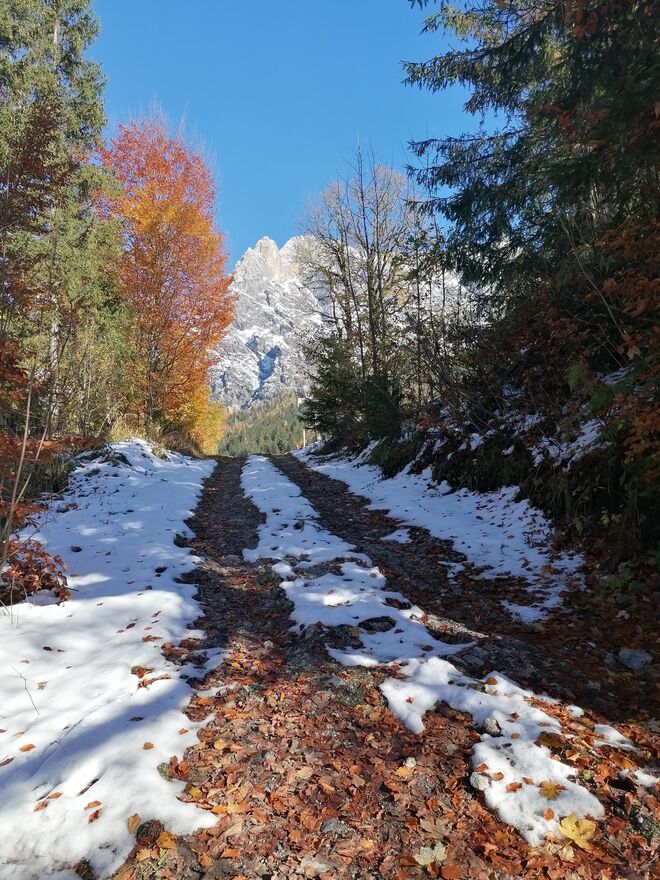Weg Richtung Winter