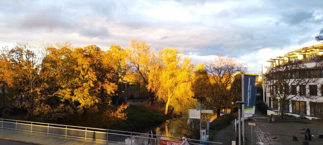 Herbstimpressionen