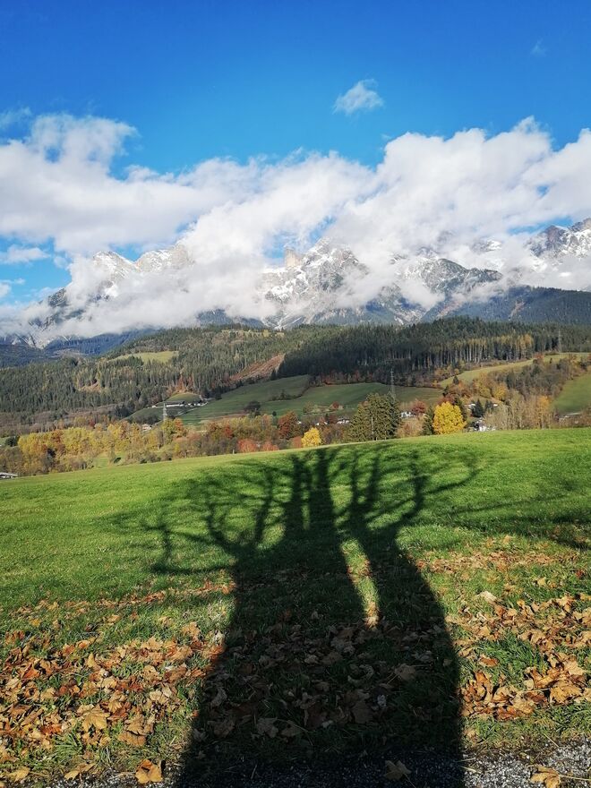 Kahle Schönheit präsentiert ihr Gegenüber