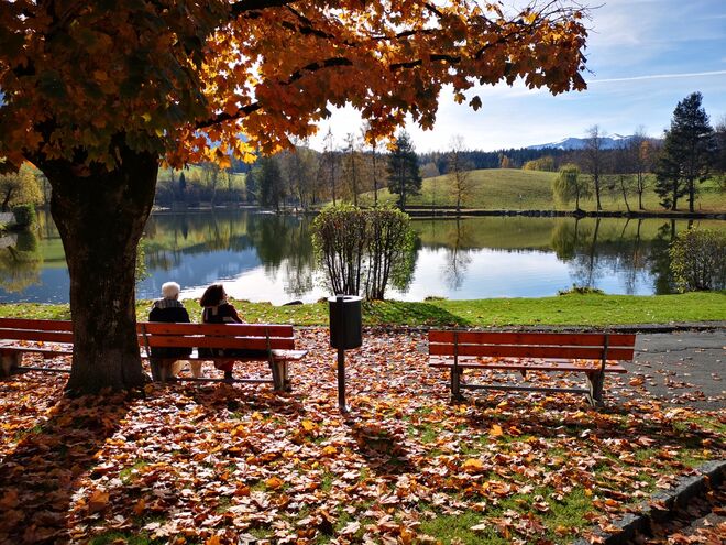 Tratsch Bankerl mit Seeblick