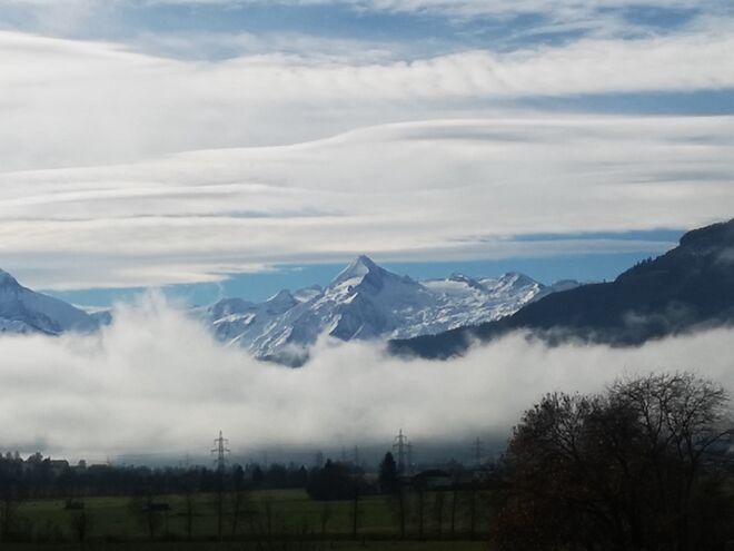 Zwischen Föhnwolken und Bodennebel lugt das Kitz hervor