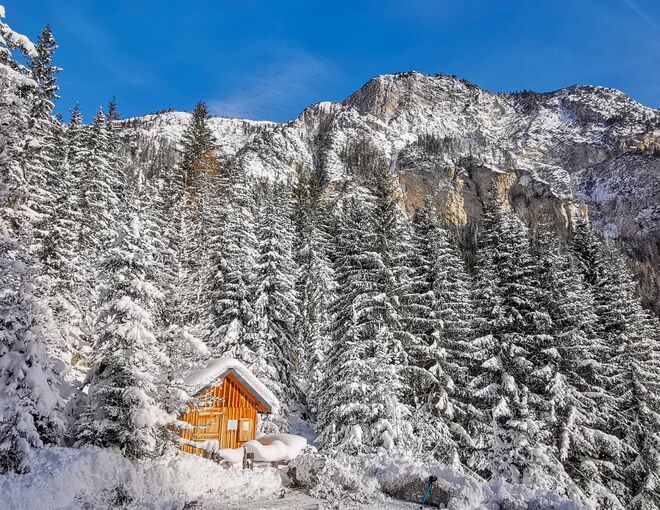 Bienenhütte im Winterkleid