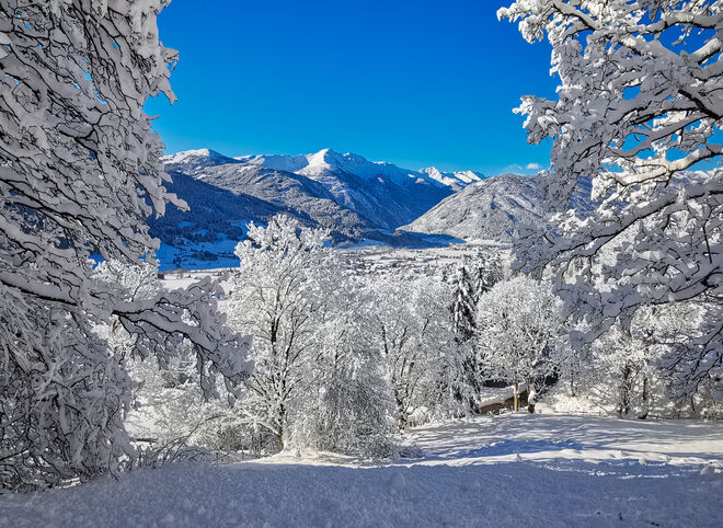 Winteridylle