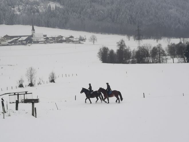 Winterlicher Ausritt