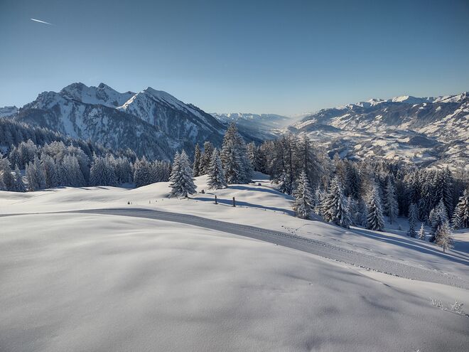 Blick ins Salzachtal
