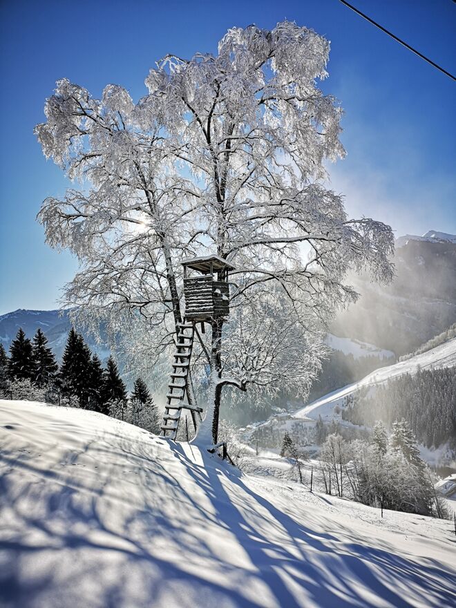 Tiefwinterliche Idylle !