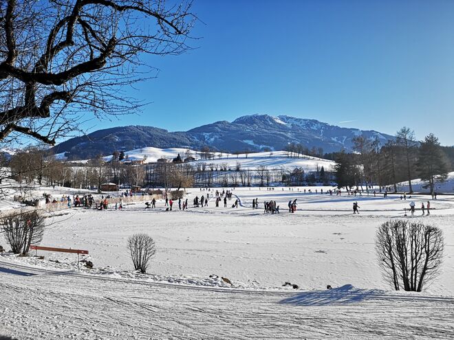 Eislaufen am Ritzensee