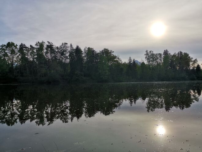 Abendsonne