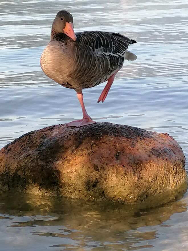 Yoga session...