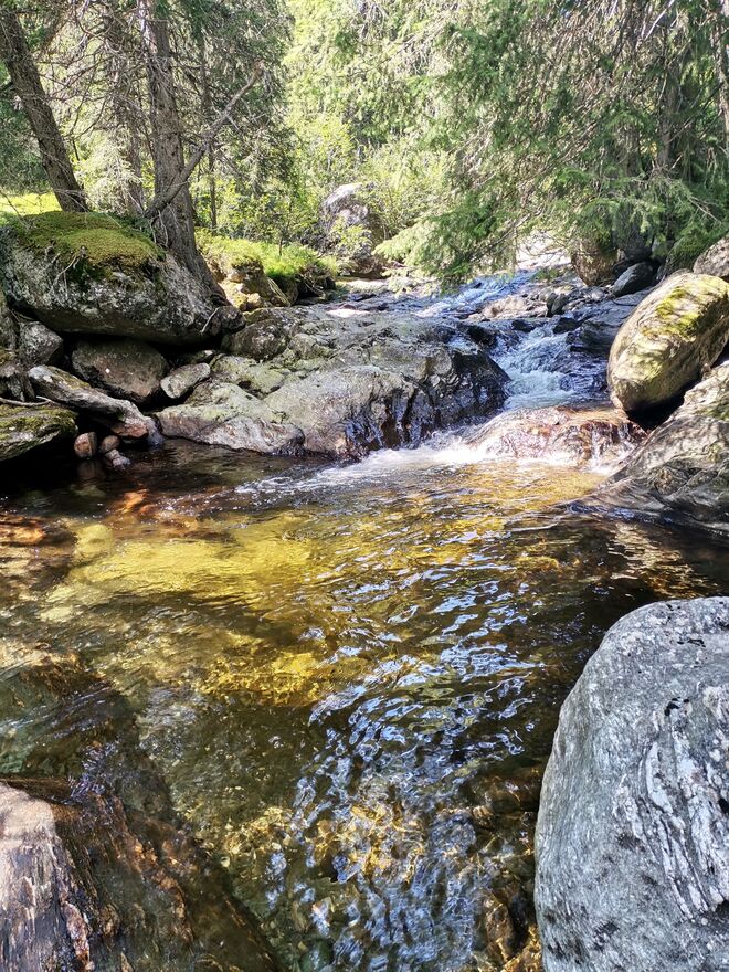 Gebirgswasserpool