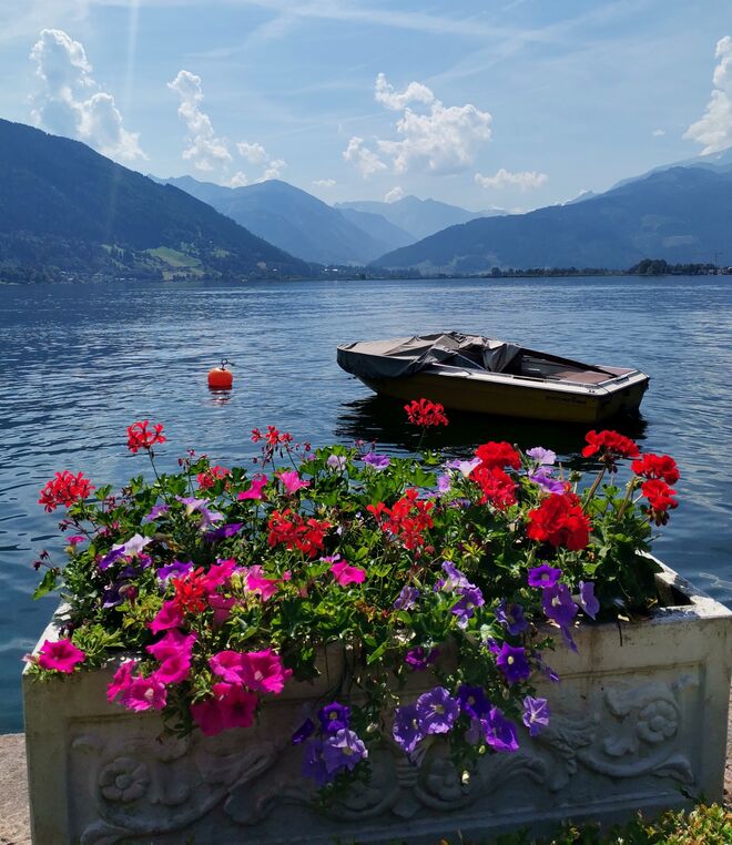 Sommer am See