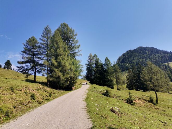 Der Weg ist das Ziel