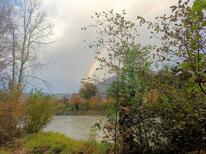 Regenbogen