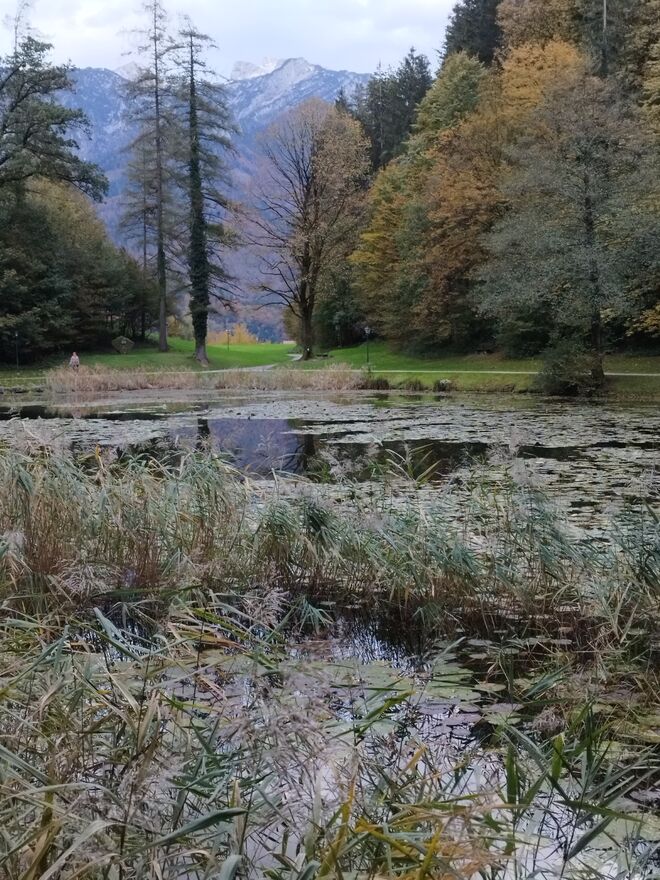 Herbststimmung