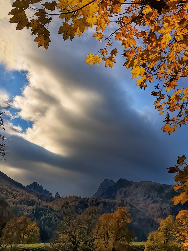 Herbstlich