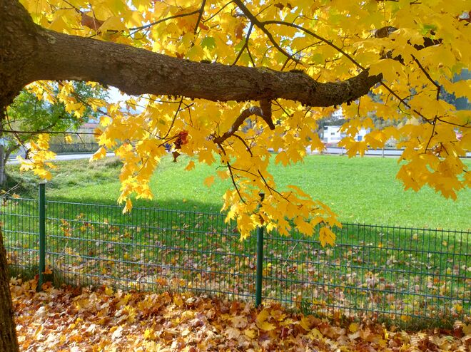 Die Natur malt in den schönsten Farben