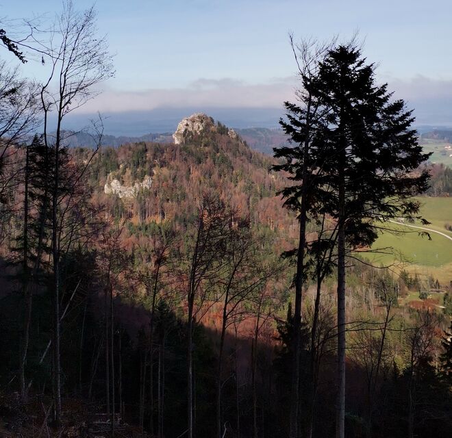 Nockstein