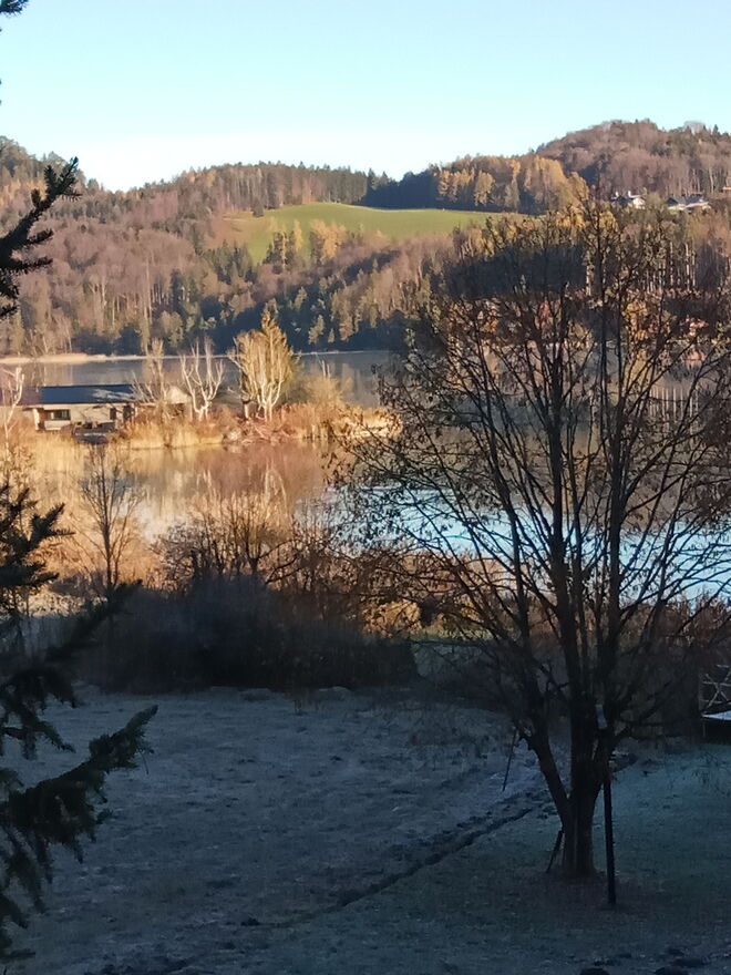 Frostiger Schatten...