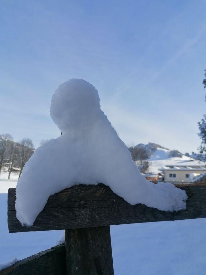 Schneeengel gelandet!