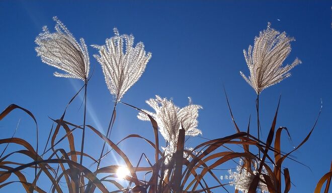 AZURBLAU