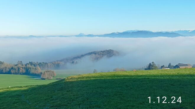 Flachgauer Nebellandschaft