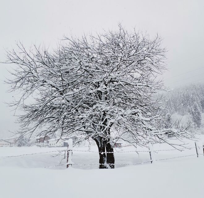 Tiefster Winter