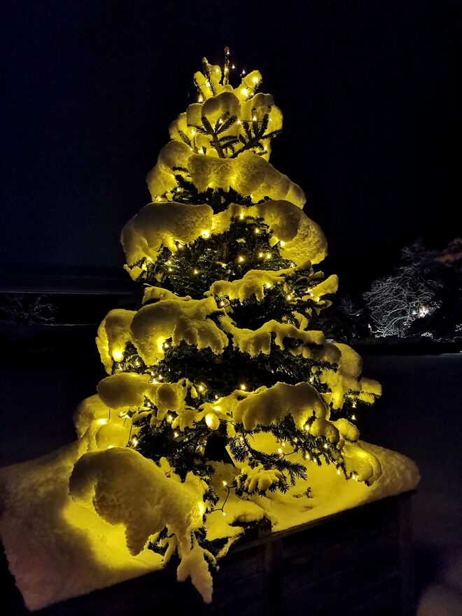 Schöne Weihnachten!