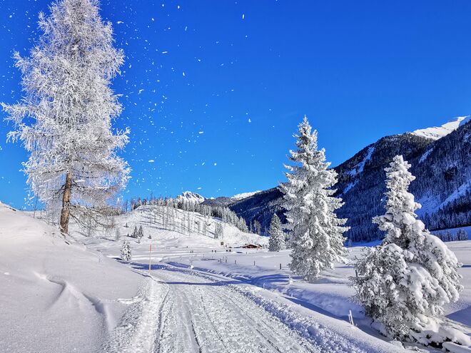Winterzauber