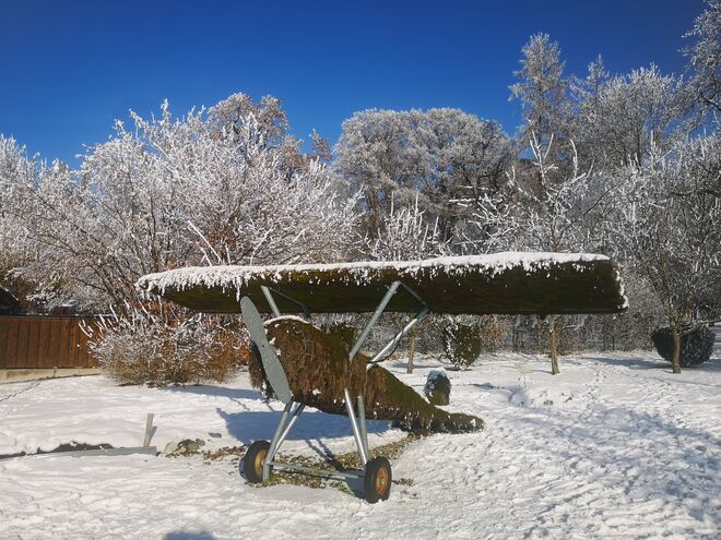 Winterstarre