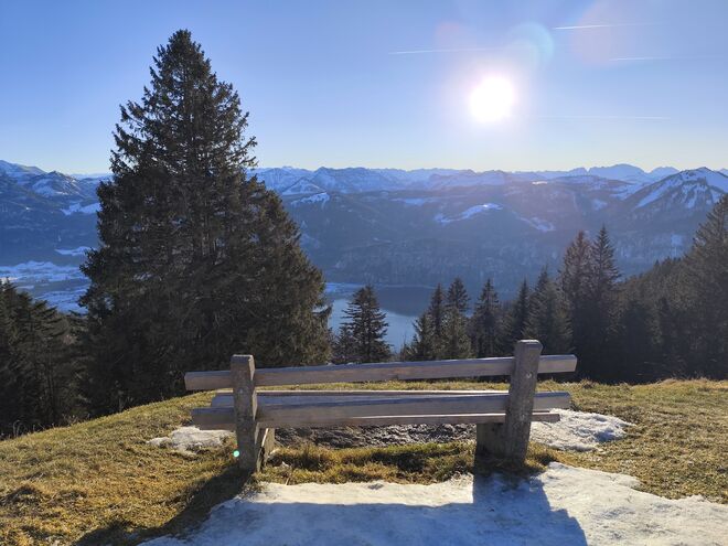 Die letzten Sonnenstrahlen des Jahres