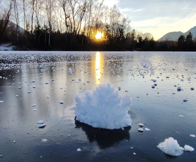 Eisblume