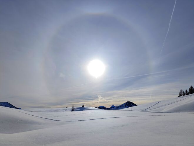 Halo