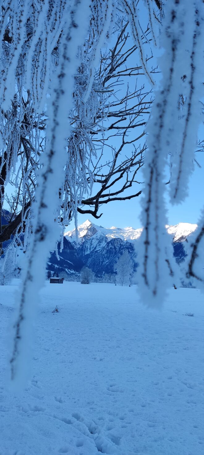 Kitzblick