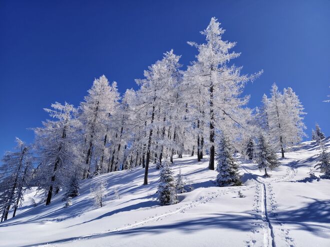 Winterzauber