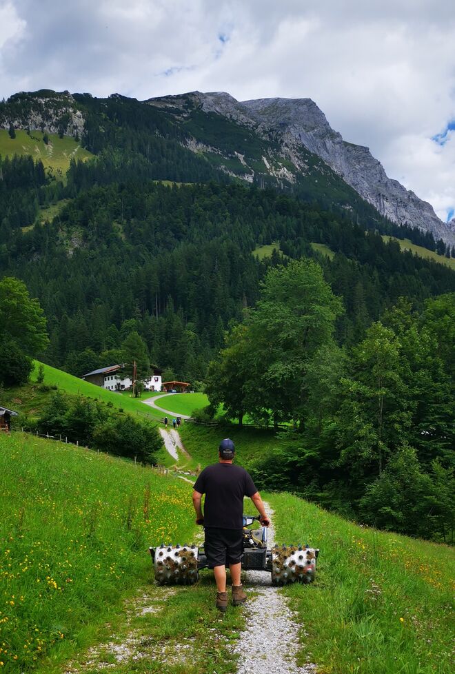 Schwerarbeit in der Idylle