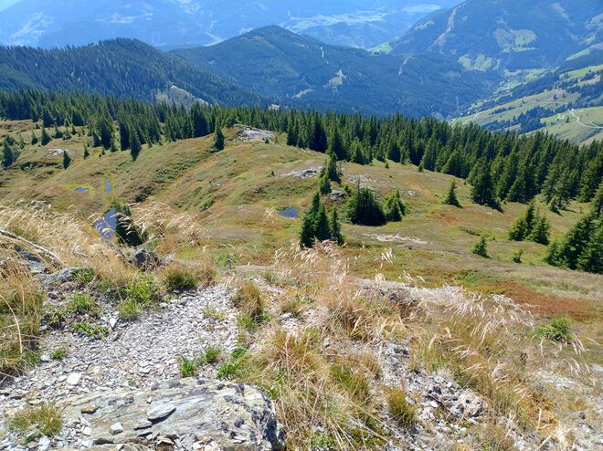 Am Schneeberg St. Veit