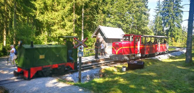 Mit Volldampf im Freilichrmuseum unterwegs