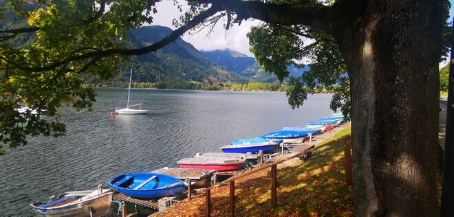 Herbstliche Zeller Seestimmung
