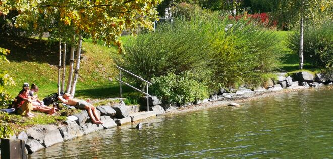 Sonnenpicknick am Zellersee
