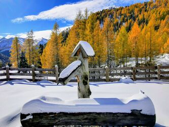 Herbst trifft Winter