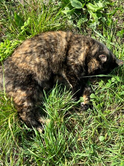 Wohlig warm in der Sonne