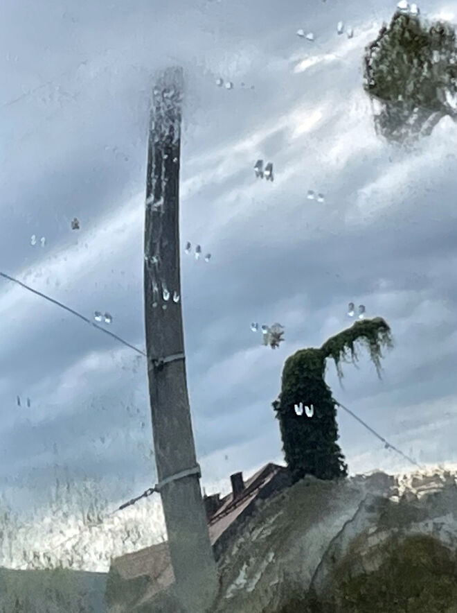 Vorsicht, wer in den Verkehrsspiegel schaut ; )